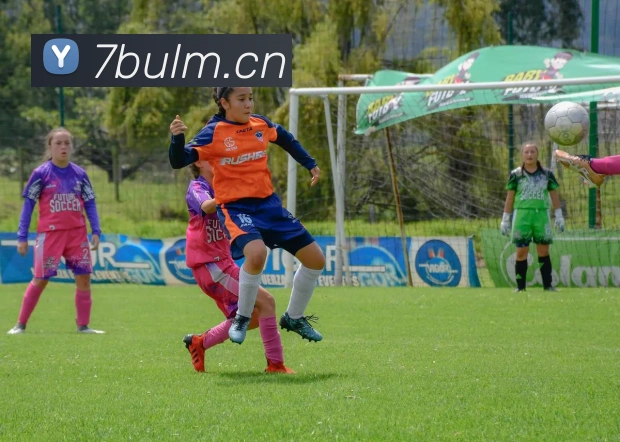 乐鱼体育官方登录平台生态图